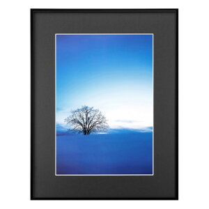 ハクバ HAKUBA ZEROフレーム G-01 A3 ブラック FZG01-A3BK 4977187487350 額縁 フォトフレーム 写真立て おしゃれ 壁掛け