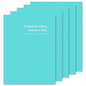 ハクバ 写真台紙 ランス ドゥ Lサイズ 2面（タテ・タテ） 5枚セット ブルー MRCDO-LT2BL5S 4977187601329 おしゃれ 差し込みタイプ 母の日 父の日 プレゼント