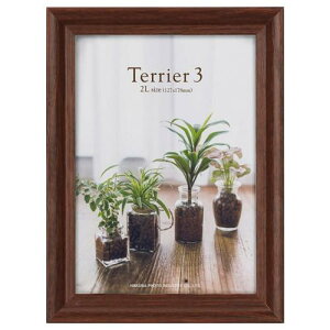 nNo tHgt[ eA3 2LTCY 1 uE FWTR3-BR2L1 4977187491197  Ǌ| ʐ^ 킢 v[g ؐ