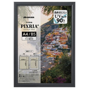 ハクバ 木製額縁 PIXRIA+(ピクスリア プラス) A4/B5サイズ ブラック FWPXP-BKA4 4977187510386