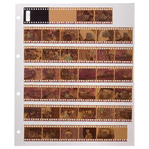 nNo lKAo ֑䎆 35mmpi10V[gj NA ANG-SS35 4977187523805