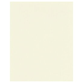 ハクバ 無地台紙 No.790 6切サイズ 1面 （タテ） クリーム M790-6T-1 4977187647938 おしゃれ かわいい ウエディング 結婚式 出産