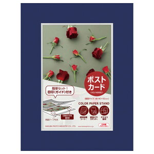 nNo J[y[p[X^h |XgJ[hTCY lCr[ MCPS-PCNV 4977187664645