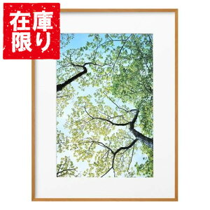 yAEgbg 󂠂znNo HAKUBA ZEROt[ G-01 A3mr i` FZG01-A3NNT 4977187487275 z tHgt[ ʐ^  Ǌ|