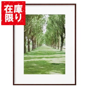 yAEgbg 󂠂znNo HAKUBA ZEROt[ G-01 A3 uE FZG01-A3BR 4977187487299 z tHgt[ ʐ^  Ǌ|