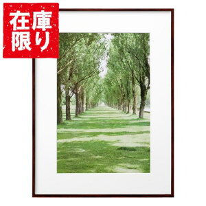 yAEgbg 󂠂znNo HAKUBA ZEROt[ G-01 A3mr uE FZG01-A3NBR 4977187487305 z tHgt[ ʐ^  Ǌ|