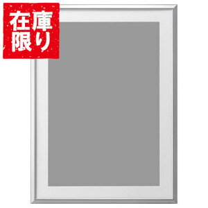 yAEgbg 󂠂znNo A~z AG-02 A3mrTCY Vo[ FAG2-SVA3N 4977187489101 tHgt[  Ǌ|