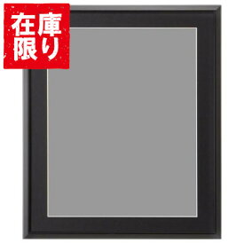 【アウトレット 訳あり特価】ハクバ アルミ額縁 AG-02 半切サイズ ブラック FAG2-BKH 4977187489163 フォトフレーム おしゃれ 壁掛け