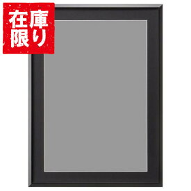 【アウトレット 訳あり特価】ハクバ アルミ額縁 AG-02 A3ノビサイズ ブラック FAG2-BKA3N 4977187489200 フォトフレーム おしゃれ 壁掛け
