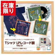 ＼9/15 限りP10倍／ ★5のつく日★【アウトレット 訳あり特価】ハクバ Tシャツ・LPレコード額 TRG-01 ブ…