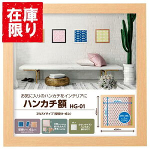 yAEgbg 󂠂znNo nJ`z HG-01 i` FWHG-01NT 4977187510157  ʃTCYF24cmp XNEFAz RNV̓WȂǂɂ