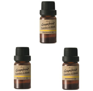 I(䂤pPbg唭) [m fBt[U[p VRuhIC O[vt[cuh 31Zbg