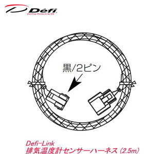 y䂤pPbg480z Defi-Link rCxvpZT[n[lX (2.5m) yPDF01104Hz