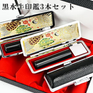 3{Zbg ӃZbg   s F ͂񂱁Eq 10Nۏ emF  ͂񂱖O qy {s{F 3{Zbg σP[X[lӃP[X3