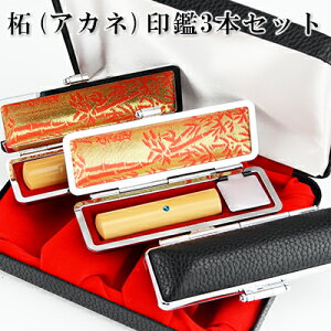 yX[p[SALEIz+s+F@сij3{Zbg P[Xt 10Nۏ emF l  ͂񂱖O q Iׂ6TCY }֔yсij3{Zbg A^