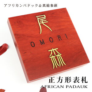 yzg\D Ap[g \D }V\D `\D  phbN AFRICAN PADAUK l[v[g  Ap[g[U[@jXdグ ؐ\D`\D  Ap