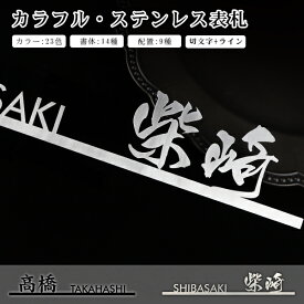 【送料無料】戸建 金属表札 表札激安 マンション表札 おしゃれ 玄関 アパート 切文字+ライン 漢字タイプ 書体14種 切文字表札 サイズ2種【切文字+ライン カラフル・ステンレス表札　漢字タイプ】宅急便発送