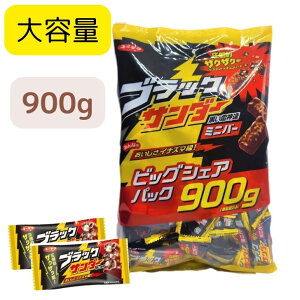 yeʁzLy ubNT_[ rbOVFApbN 900g rbOTCY VFA  o^C zCgf[ v[g@蕨 Ԃ av[g J 