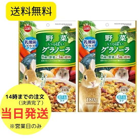 【2個セット】 マルカン 野菜いっぱい グラノーラ 180g ML-06 毛玉ケア 乳酸菌 プラス うさぎの餌 ハムスター モルモット チンチラ リス モモンガ プレーリードッグ 餌 デグー野菜 食物繊維 ミネラル ウサギ えさ ペットフード おやつ エサ 穀物 モルモットフード 360g