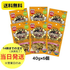 【送料無料】【6袋セット】マルカン 大地の恵み おいしいクルミの森 40g 6袋セット MR-580新鮮 クルミ うさぎ リス ハムスター チンチラ 小動物 おやつ カルシウム タンパク質 ビタミン 保存 便利 チャック付き おやつ 主食に混ぜる