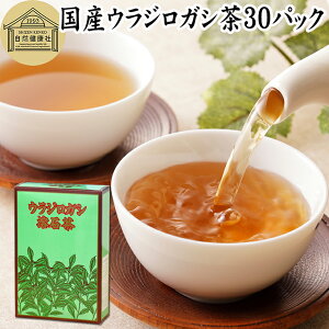 EWKV 30pbN 炶낪 ~ Y Y _ _sgp 100 N eB[pbN eB[obO 򑐒 mJtFC JtFCX fJtF Ϗo ۑ