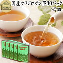 ウラジロガシ茶 30パック×5個 うらじろがし茶 裏白樫茶 国産 徳島県産 無農薬 農薬不使用 100％ 健康茶 ティーパック ティーバッグ 薬草茶 ノンカフェイン カフェインレス デカフェ 煮出し 保存料 無添加 健康飲料 健康食品 お茶 サプリメント サプリ 飲みやすい 温まる