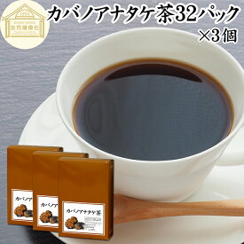 カバノアナタケ茶 32パック×3個 チャーガ茶 チャガ茶 チャーガティー チャガティー きのこ茶 樺孔茸茶 樺のあな茸 樺孔茸 きのこ 乾燥 薬膳茶 天然 100％ 無農薬 農薬不使用 保存料 無添加 ベータグルカン サルノコシカケ ダケカンバ SOD スーパーオキシドジスムターゼ