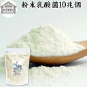 粉末乳酸菌 10兆個 1kg フェカリス菌 サプリ サプリメント パウダー 乳酸菌 粉末 プロバイオティクス 菌活 腸活 腸内フローラ 乳酸菌 パウダー 飲料 砂糖不使用 自然健康社 ペット わんこ 犬 猫 ラクリス菌 シールド スマート ビフィズス菌 おすすめ オリゴ糖 ダイエット