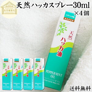 nbJ 30ml×4 nbJ Xv[ nbJXv[ nbJIC anbJ  100% ۑ Y VR ֗ Xv[ kC k  ނ悯 K[fjO St _ ނ L