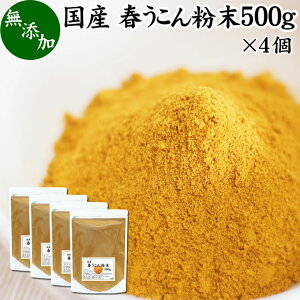 ターメリック 業務用の人気商品 通販 価格比較 価格 Com