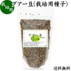 OA[ 400g ͔|pq OA O@[   ^l NX^ 炷 K[fjO c d RN