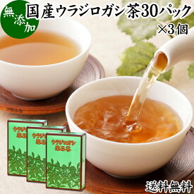 ウラジロガシ茶 30パック×3個 うらじろがし茶 裏白樫茶 国産 徳島県産 無農薬 農薬不使用 100％ 送料無料 健康茶 ティーパック ティーバッグ 薬草茶 ノンカフェイン カフェインレス デカフェ 煮出し 無添加 無着色 健康飲料 健康食品 お茶 サプリメント サプリ 飲みやすい