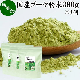 ゴーヤ粉末 380g×3個 青汁 粉末 国産 無添加 ゴーヤー茶 ゴーヤ茶 ゴーヤ パウダー あおじる 粉末 野菜 ジュース ごーやー茶 ごーや茶 ごーやーパウダー 自然健康社 おすすめ おいしい サプリメント 便利 ランキング うまい スムージー まるごと ヴィーガン 売れ筋 丸ごと