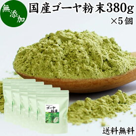 ゴーヤ粉末 380g×5個 青汁 粉末 送料無料 国産 無添加 ゴーヤー茶 ゴーヤ茶 ゴーヤ パウダー あおじる 粉末 野菜 ジュース ごーやー茶 ごーや茶 ごーやーパウダー 自然健康社 おすすめ おいしい サプリメント 便利 ランキング うまい スムージー まるごと ヴィーガン 売れ筋