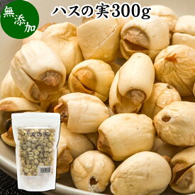 ハスの実 300g 蓮の実 はすの実 蓮実 レンジツ アルカロイド 無添加 乾燥 無漂白 無着色 蓮茶 はす茶 薬膳茶 業務用 食材 健康食材 漢方 薬膳 美容 ダイエット ごはん 具材 スープ 炊き込みご飯 鍋 煮込み料理 中華食材 味噌汁 茹でる おかゆ お粥 おこわ 甘納豆 砂糖漬け