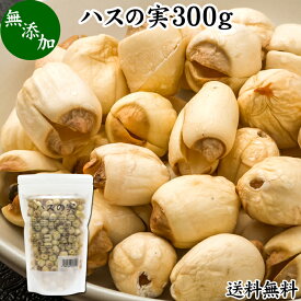 ハスの実 300g 蓮の実 はすの実 蓮実 レンジツ 送料無料 アルカロイド 無添加 乾燥 無漂白 無着色 蓮茶 はす茶 薬膳茶 業務用 食材 健康食材 漢方 薬膳 美容 ダイエット ごはん 具材 スープ 炊き込みご飯 鍋 煮込み料理 中華食材 味噌汁 茹でる おかゆ お粥 おこわ 甘納豆