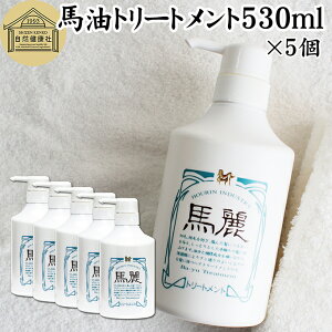 n g[gg 530ml×5 RfBVi[ X n ܂ꂢ zE ΁[ o[ ܁[ n̖ Z~h ZuVh XN }Jf~AibcIC zzoIC I[