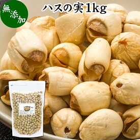 ハスの実 1kg 蓮の実 はすの実 蓮実 レンジツ 徳用 アルカロイド 無添加 乾燥 無漂白 無着色 蓮茶 はす茶 薬膳茶 業務用 食材 健康食材 漢方 薬膳 美容 ダイエット ごはん 具材 スープ 炊き込みご飯 鍋 煮込み料理 中華食材 味噌汁 茹でる おかゆ お粥 おこわ 甘納豆 砂糖漬