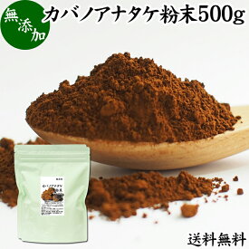 カバノアナタケ粉末 500g (250g×2袋) パウダー チャーガ チャガ 微粉末 送料無料 きのこ 樺孔茸 無添加 カバノアナタケ茶 チャーガ茶 チャガ茶 チャーガティー チャガティー きのこ茶 樺孔茸茶 粉末茶 サプリ サプリメント 乾燥 薬膳茶 ロシア産 天然 100％ ベータグルカン