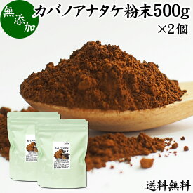 カバノアナタケ粉末 500g×2個 (250g×4袋) パウダー チャーガ チャガ 微粉末 送料無料 きのこ 樺孔茸 無添加 カバノアナタケ茶 チャーガ茶 チャガ茶 チャーガティー チャガティー きのこ茶 樺孔茸茶 粉末茶 サプリ サプリメント 乾燥 薬膳茶 ロシア産 天然 100％ ベータグル