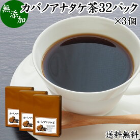 カバノアナタケ茶 32パック×3個 チャーガ茶 チャガ茶 チャーガティー チャガティー きのこ茶 無添加 樺孔茸茶 樺のあな茸 樺孔茸 きのこ 送料無料 乾燥 薬膳茶 天然 100％ 無農薬 農薬不使用 ベータグルカン サルノコシカケ 白樺 岳樺 ダケカンバ SOD スーパーオキシド