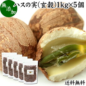 ハスの実 玄穀 1kg×5個 蓮の実 はすの実 蓮実 レンジツ 送料無料 アルカロイド 無添加 乾燥 無漂白 無着色 蓮茶 はす茶 薬膳茶 業務用 食材 健康食材 漢方 薬膳 美容 ダイエット ごはん 具材 スープ 炊き込みご飯 鍋 煮込み料理 中華食材 味噌汁 茹でる おかゆ お粥 おこわ