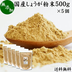 しょうが 粉末 500g×5個 生姜 粉末 パウダー ジンジャー ショウガ 国産 高知県産 送料無料 100% 業務用 乾燥 蒸し しょうが 茶 紅茶 生姜湯 ショウガ湯 サプリ サプリメント 生生姜 無添加 無着色 無香料 ぽかぽか ショウガオール ジンゲロール 温活 妊活 ダイエット 冷え