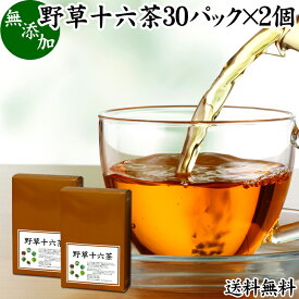 野草十六茶 30パック×2個 野草茶 ティーパック ティーバッグ ブレンドティー ブレンド茶 ダイエット茶 ダイエット ハーブ ティー お茶 送料無料 どくだみ スイカズラ おおばこ エビスグサ 黒豆 カワラケツメイ はとむぎ アマチャヅル 柿葉 熊笹 桑葉 グアバ葉 すぎな びわ葉