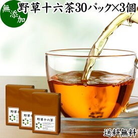 野草十六茶 30パック×3個 野草茶 ティーパック ティーバッグ ブレンドティー ブレンド茶 ダイエット茶 ダイエット ハーブ ティー お茶 送料無料 どくだみ スイカズラ おおばこ エビスグサ 黒豆 カワラケツメイ はとむぎ アマチャヅル 柿葉 熊笹 桑葉 グアバ葉 すぎな びわ葉