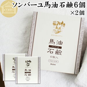 n Ό 6×2 \o[ n ΂  n t n \[v F  ΁[ o[ ܁[ n̖ Ō`\[v ێ {fBPA p Sgp ̗p p xr[p