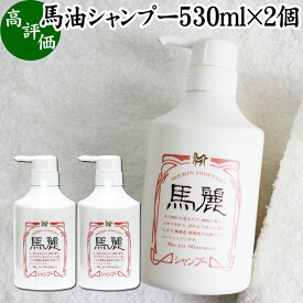 馬油 シャンプー 530ml×2個 馬麗 まれい ホウリン ばーゆ バーユ まーゆ 馬の油 シャンプー セラミド セレブロシド 天然 モイスチャー 成分 植物 エキス アルニカ オドリコソウ オランダガラシ ゴボウ セイヨウキズタ ローズマリー セイヨウアカマツ カミツレ シャンプー