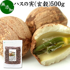 ハスの実 玄穀 500g 蓮の実 はすの実 蓮実 レンジツ アルカロイド 無添加 乾燥 無漂白 無着色 蓮茶 はす茶 薬膳茶 業務用 食材 健康食材 漢方 薬膳 美容 ダイエット ごはん 具材 スープ 炊き込みご飯 鍋 煮込み料理 中華食材 味噌汁 茹でる おかゆ お粥 おこわ 甘納豆 砂糖漬