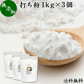 打ち粉 1kg×3個 送料無料 打粉 手粉 切り粉 切粉 無添加 100% 業務用 大容量 そば打ち 麺打ち サゴでん粉 サゴ澱粉 さごやし 粉末 サゴヤシ粉 お得 はな粉 製菓 製パン お菓子 材料 グルテンフリー 麺用 花粉 手打ち麺 蕎麦 手打ち うどん用 そば用 ヌードル パスタ 中華麺