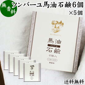 馬油 石鹸 6個入×5個 ソンバーユ 馬油 石けん せっけん 尊馬油 薬師堂 馬油 ソープ 無着色 無香料 ばーゆ バーユ まーゆ 馬の油 送料無料 固形ソープ 保湿 ボディケア 洗顔用 全身用 体用 浴用 ベビー用 赤ちゃん ボディソープ 洗顔石鹸 固形 ギフト プレゼント スキンケア